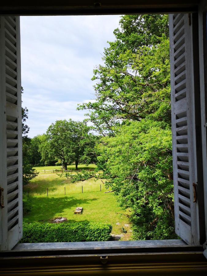 Château de Beauchêne Chambres d'Hôtes Allogny Exterior foto